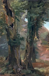 Old Elms, ca. 1835 (olie på papir om bord)